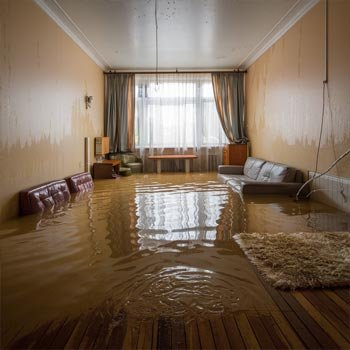 Florida Water Damage Repair